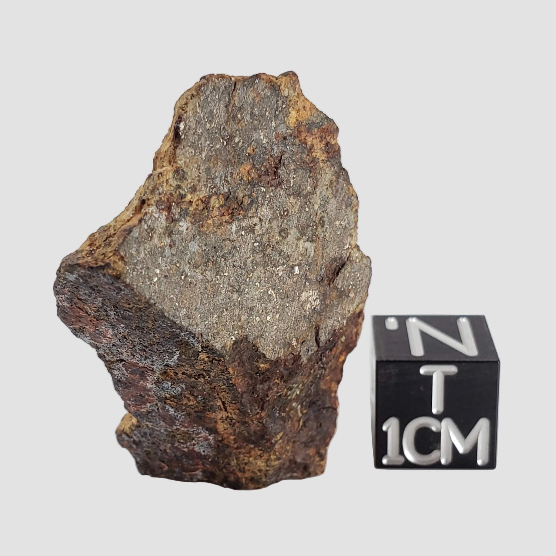  Gold Basin Meteorite | 24.22 Grams | Individual Cut Fragment | L4 Chondrite | Arizona 