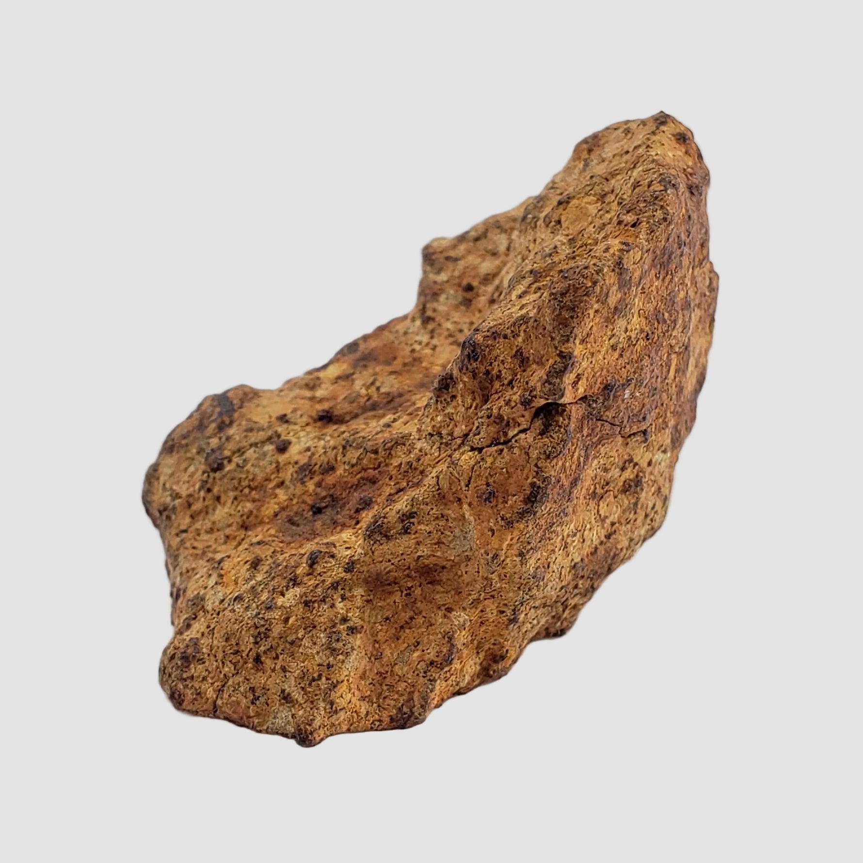  Gold Basin Meteorite | 24.22 Grams | Individual Cut Fragment | L4 Chondrite | Arizona 6