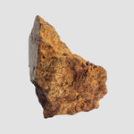  Gold Basin Meteorite | 24.22 Grams | Individual Cut Fragment | L4 Chondrite | Arizona 8