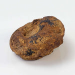  Goniatite Fossil | Natural Fossilized Pyritized in Host Rock | Fammenian - Devonian | Kowala Formation, Poland 4