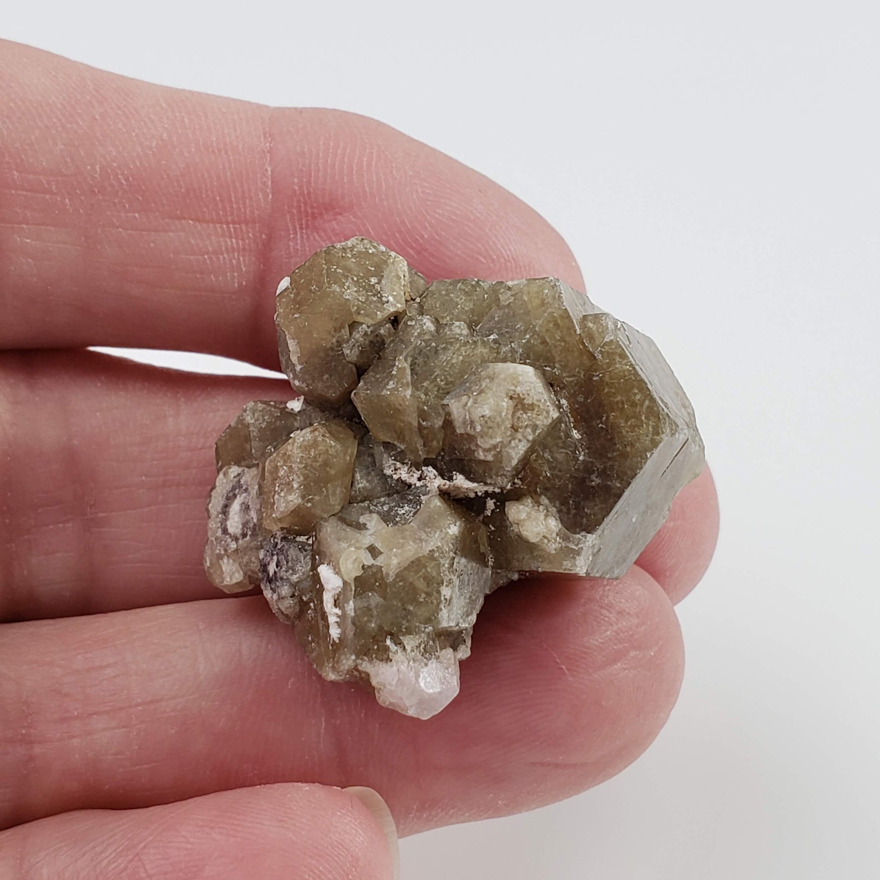  Grossular Garnet Cluster | 24.6 | Lake Jaco, Chihuahua, Mexico 4