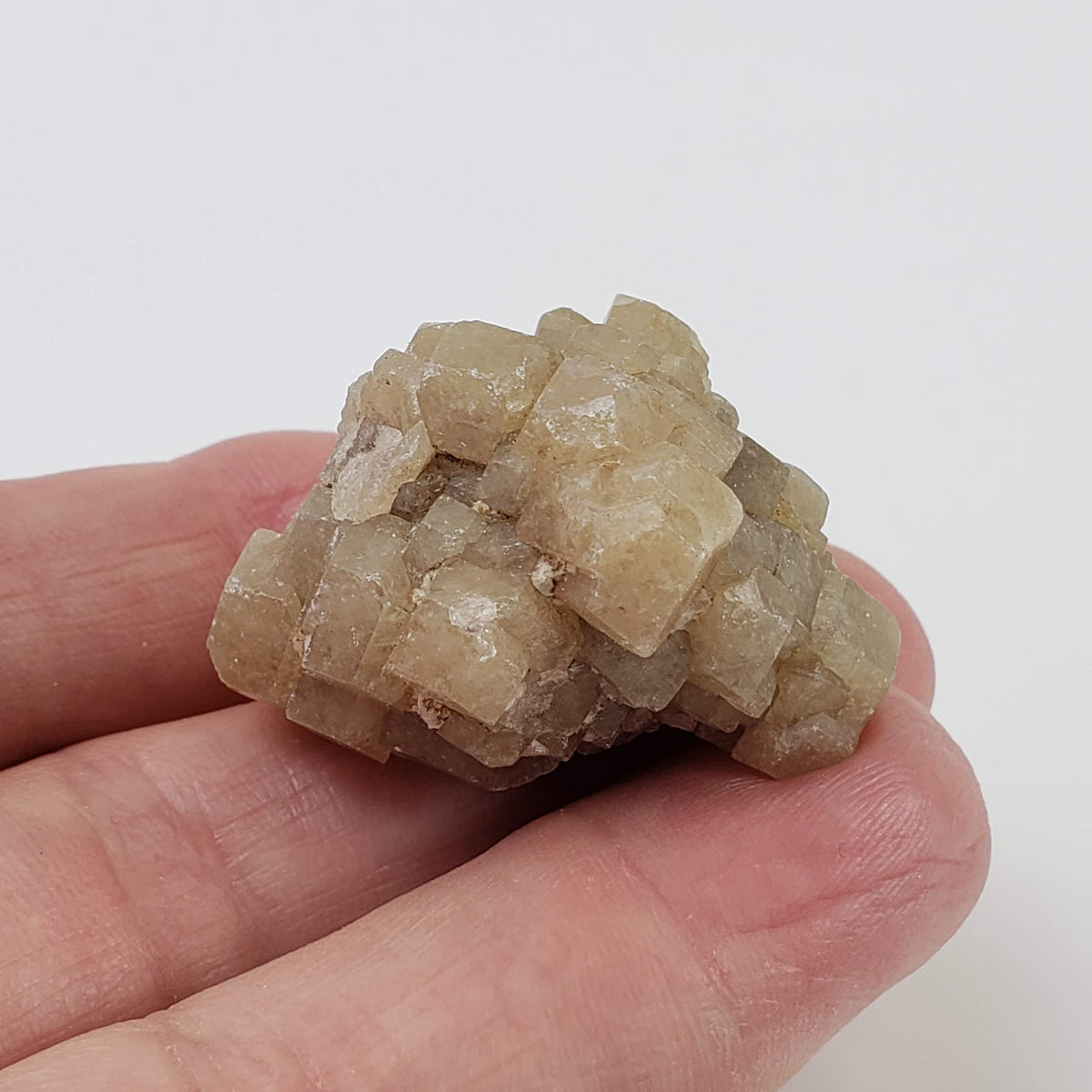  Grossular Garnet Cluster | 32 grams | Lake Jaco, Chihuahua, Mexico 6