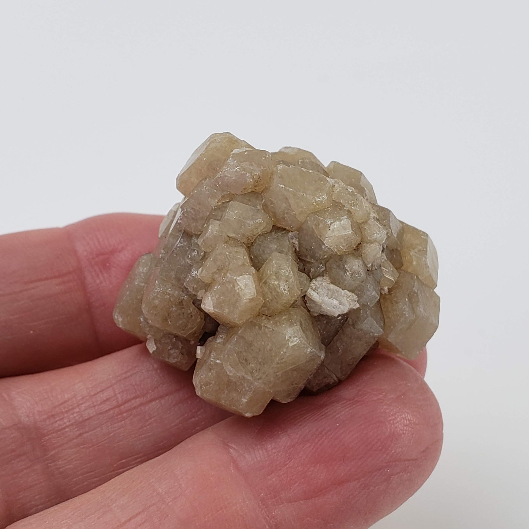  Grossular Garnet Cluster | 32 grams | Lake Jaco, Chihuahua, Mexico 7