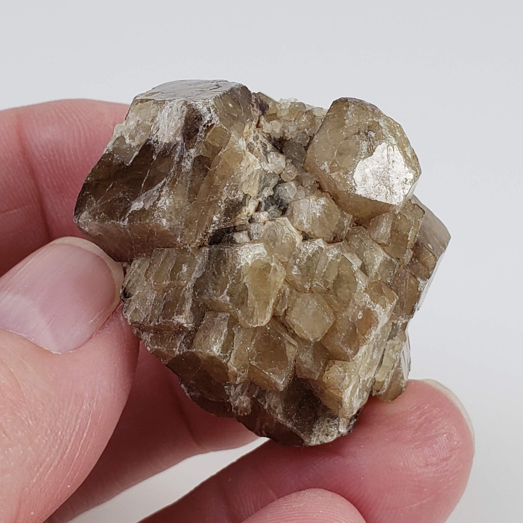  Grossular Garnet Cluster | 60.9g | Lake Jaco, Chihuahua, Mexico 4