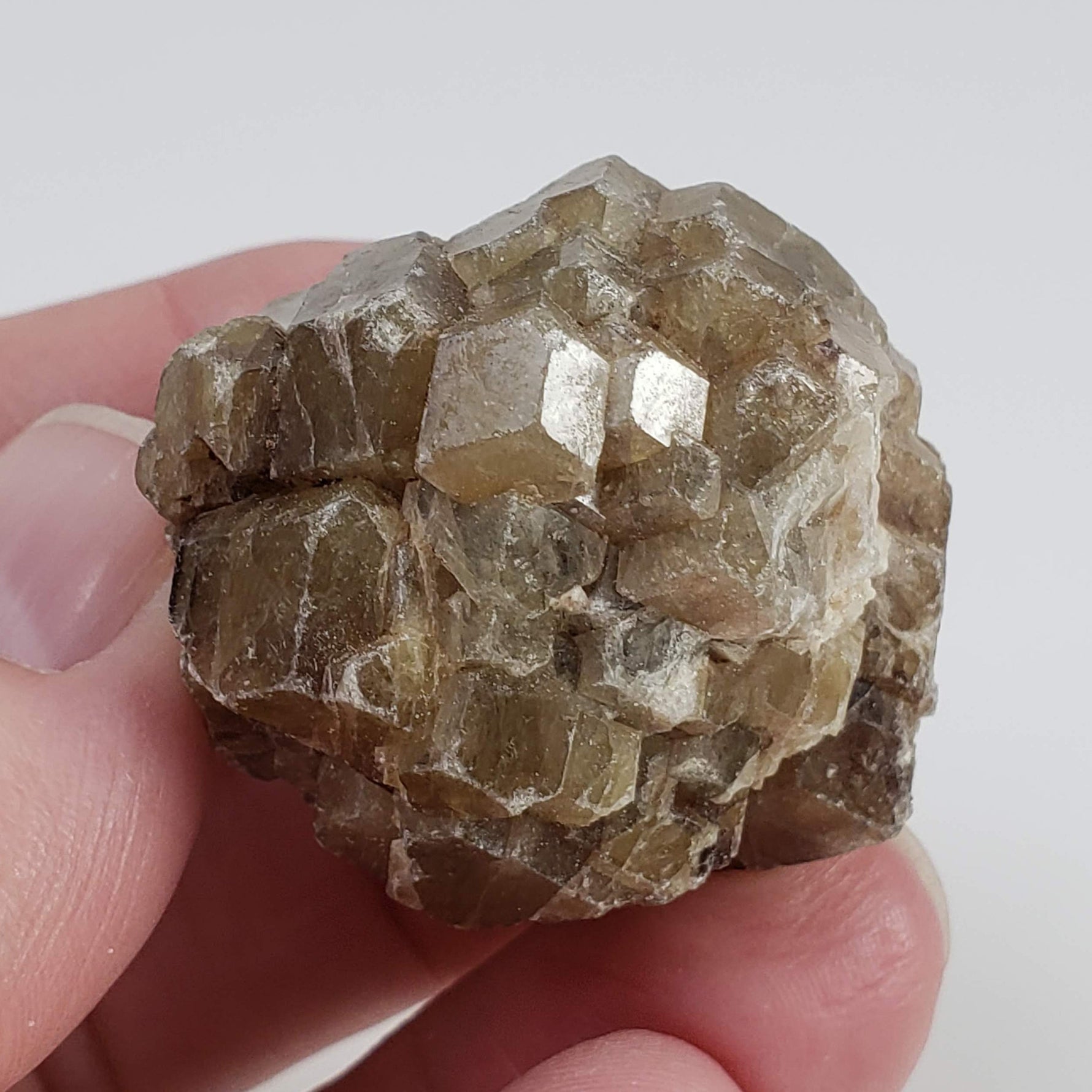  Grossular Garnet Cluster | 60.9g | Lake Jaco, Chihuahua, Mexico 5
