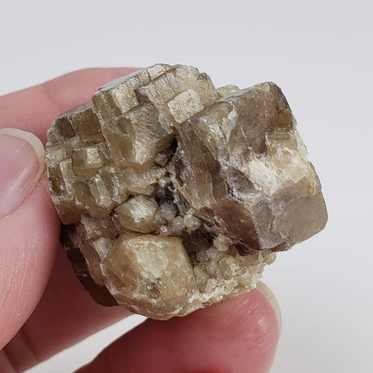  Grossular Garnet Cluster | 60.9g | Lake Jaco, Chihuahua, Mexico 6