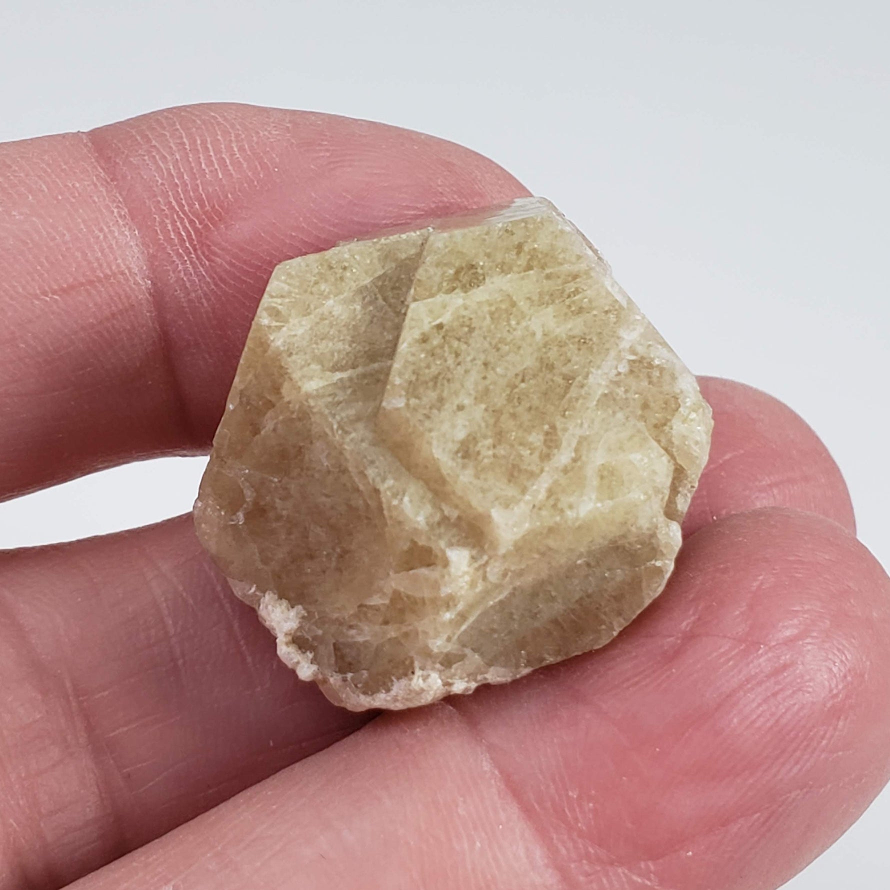  Grossular Garnet Crystal | 22.5g | Lake Jaco, Chihuahua, Mexico 4