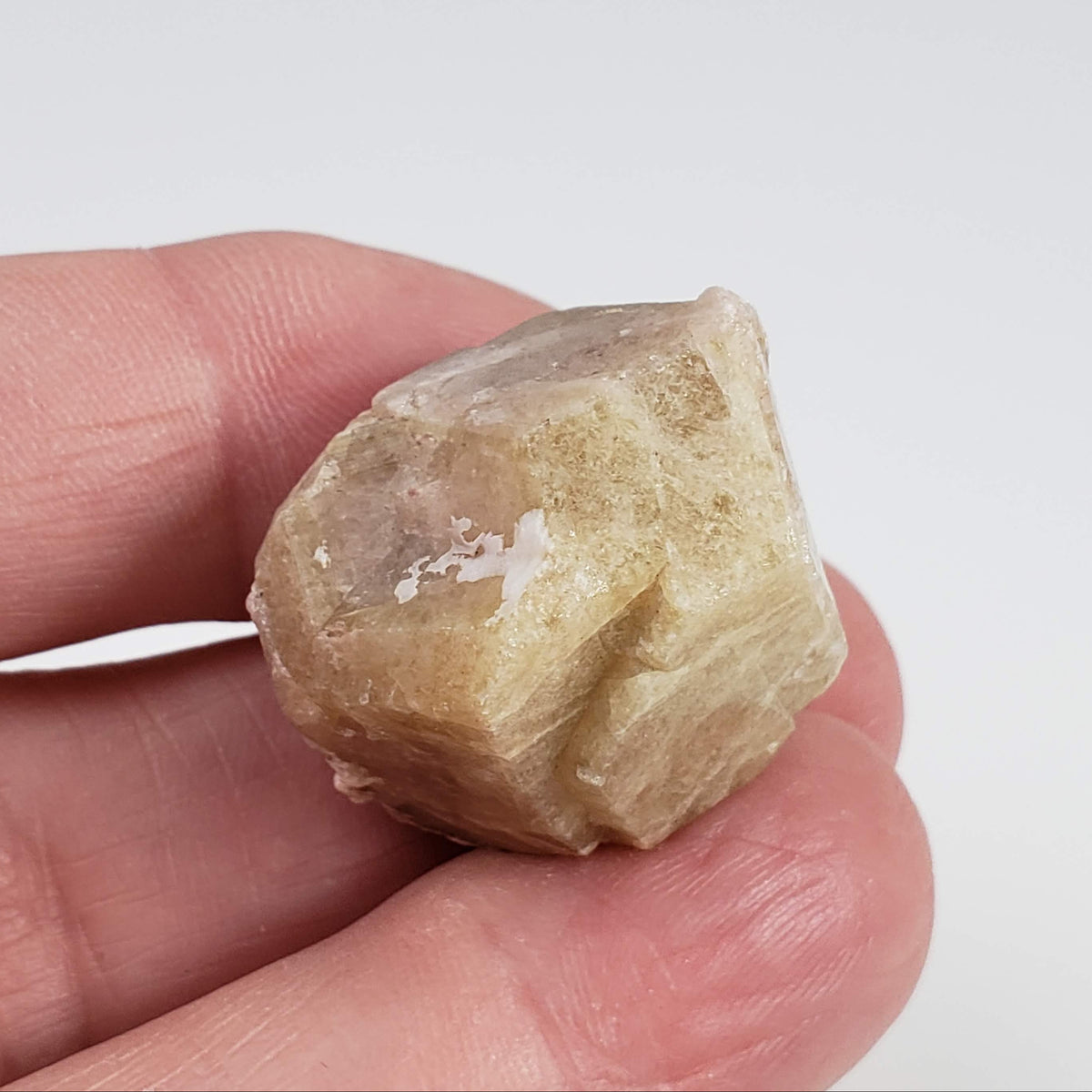  Grossular Garnet Crystal | 22.5g | Lake Jaco, Chihuahua, Mexico 6