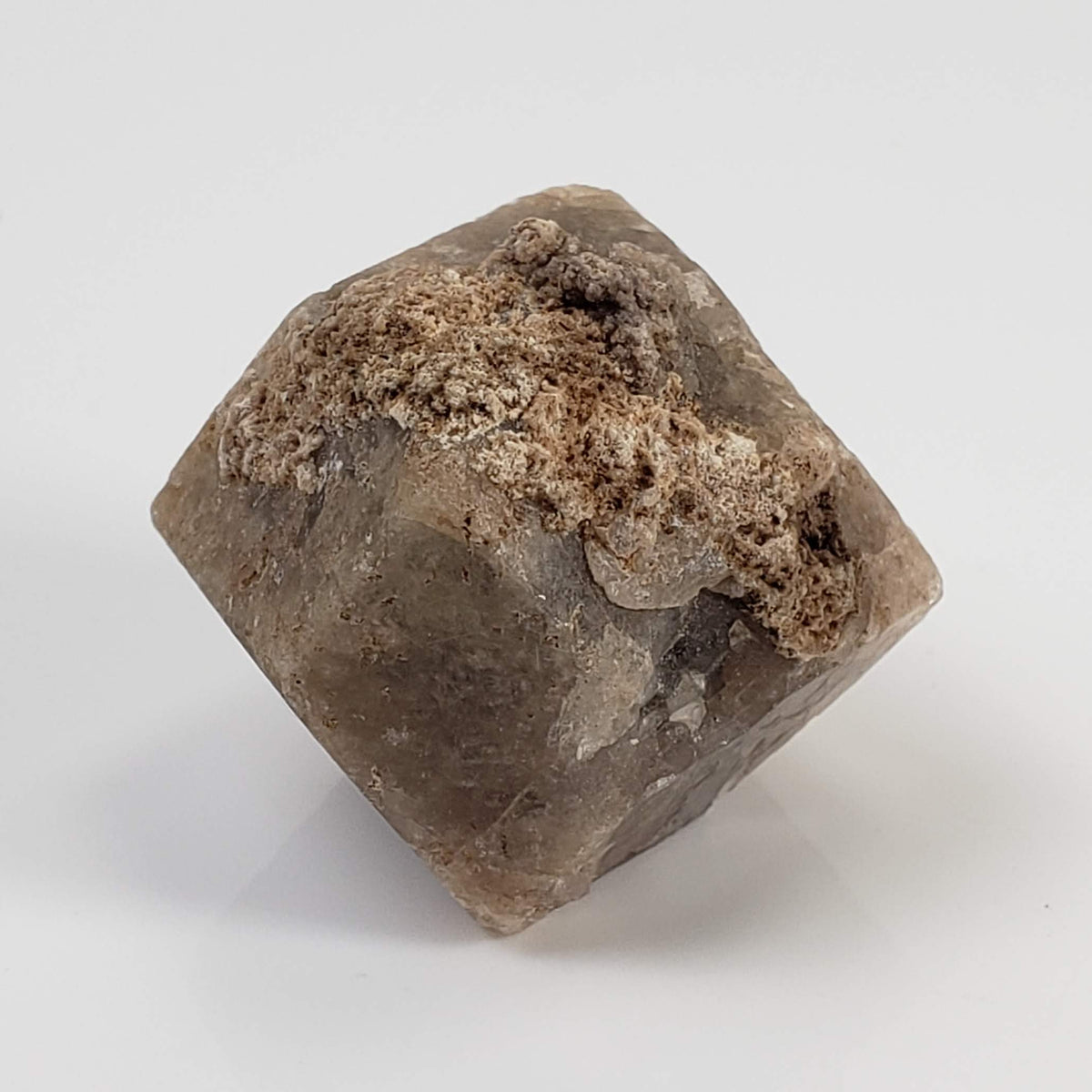  Grossular Garnet Crystal | 26.3g | Lake Jaco, Chihuahua, Mexico 2