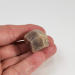  Grossular Garnet Crystal | 26.3g | Lake Jaco, Chihuahua, Mexico 5