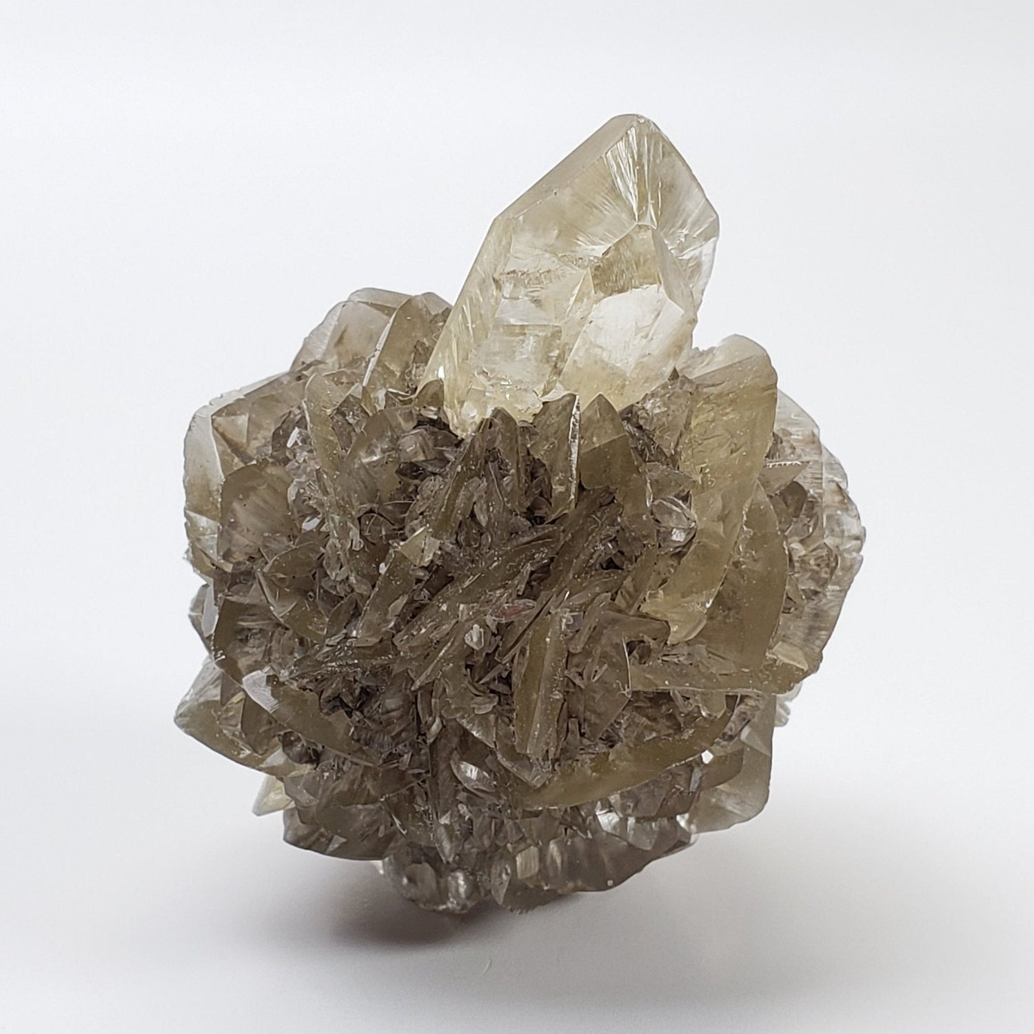  Gypsum var "Duckbill" Selenite Crystal | Fluorescent | 55.3 gr | Red River Floodway | Winnipeg, Manitoba Canada | SO24 1