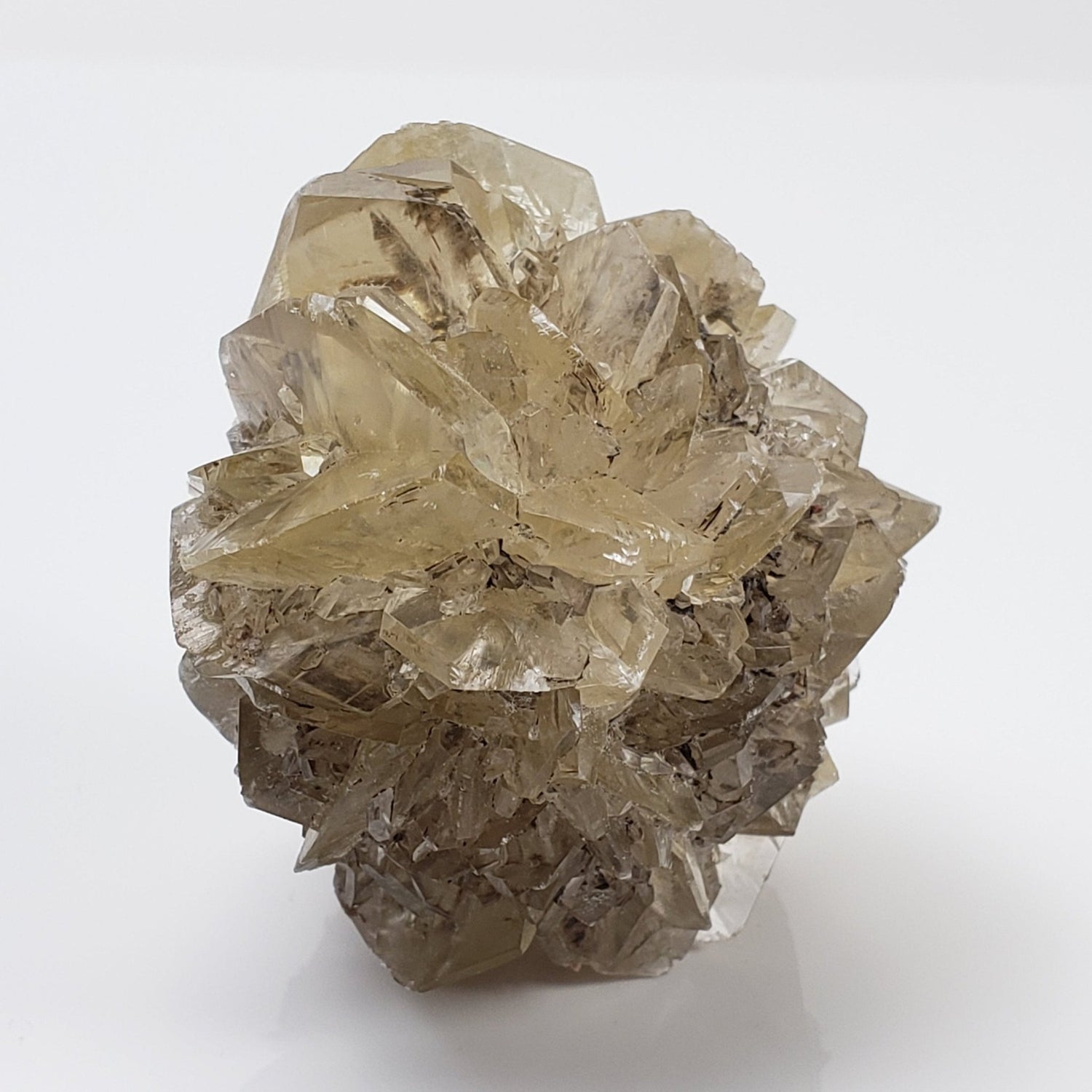  Gypsum var "Duckbill" Selenite Crystal | Fluorescent | 87.7 gr | Red River Floodway | Winnipeg, Manitoba Canada | SO24 