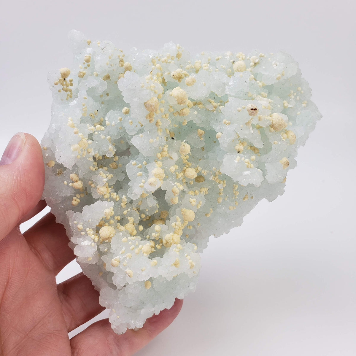  Gyrolite and Apophyllite on Prehnite Crystal | 333 grams | Mumbai India 5