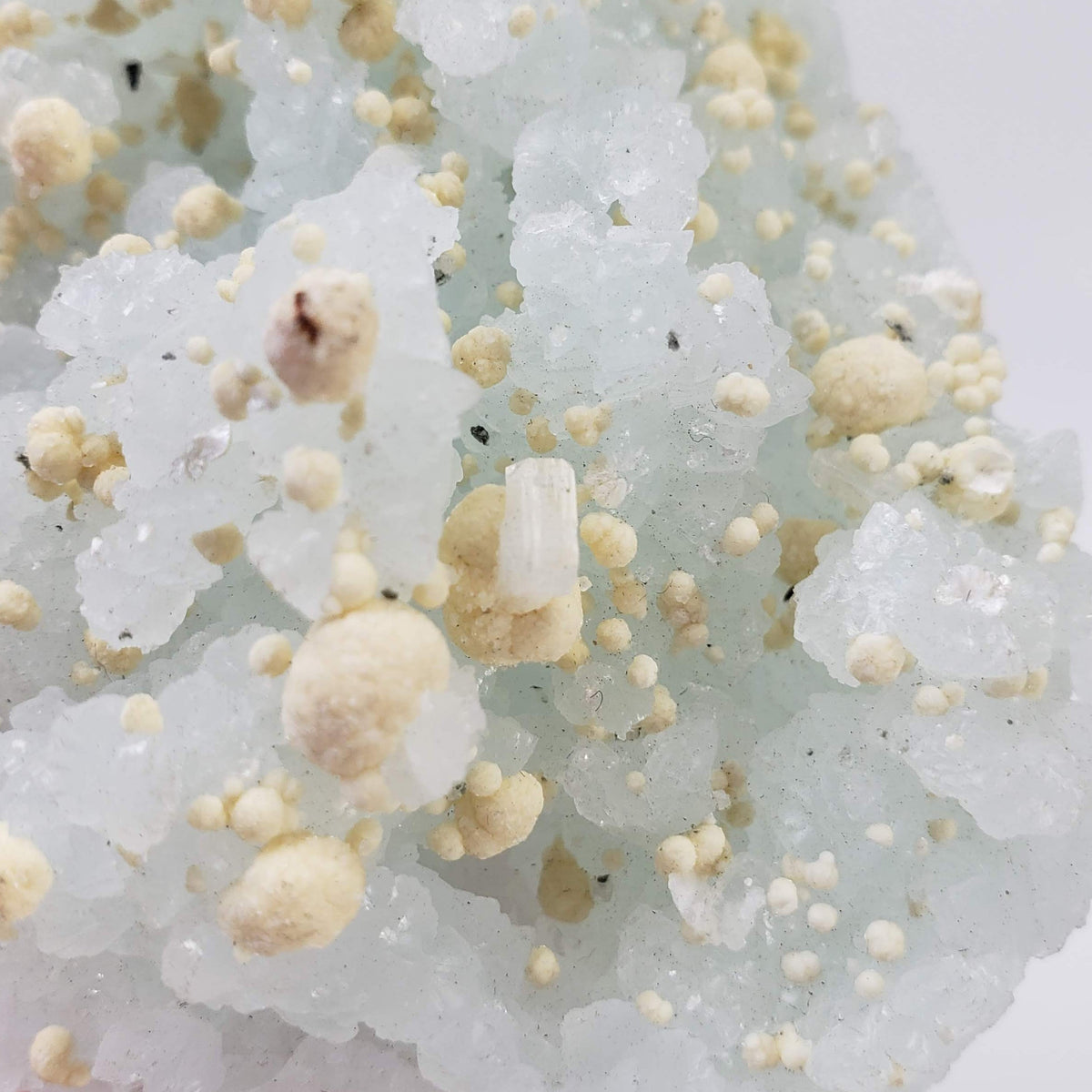  Gyrolite and Apophyllite on Prehnite Crystal | 333 grams | Mumbai India 8