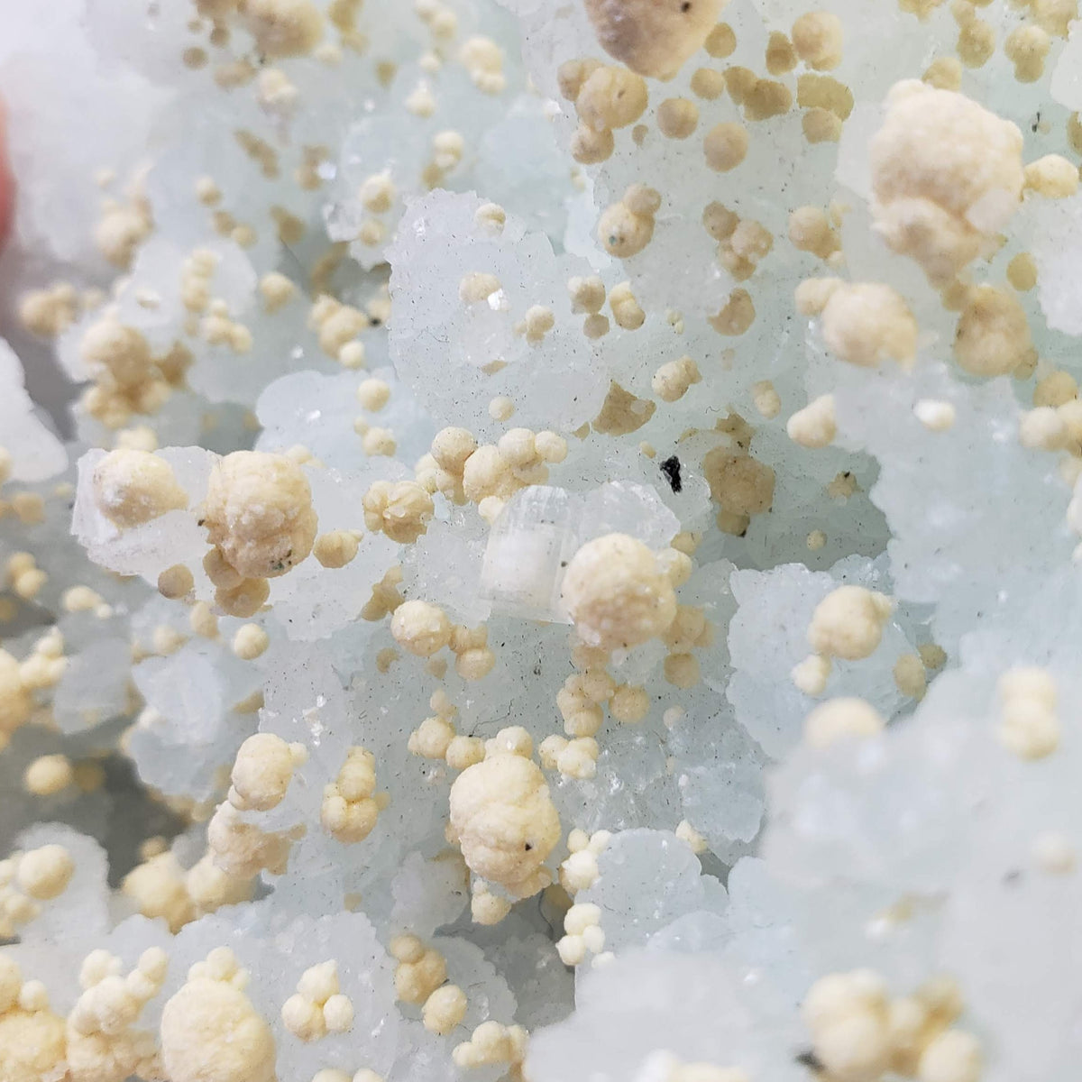  Gyrolite and Apophyllite on Prehnite Crystal | 333 grams | Mumbai India 7