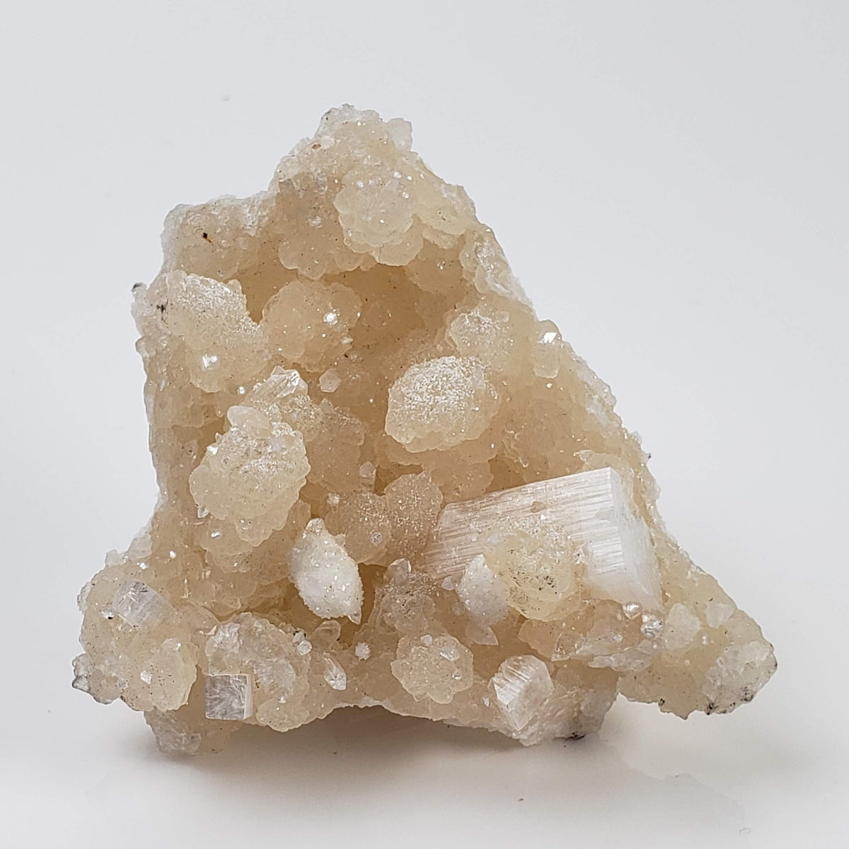  Gyrolite and Apophyllite on Prehnite Crystal | 85 grams | Mumbai, India 