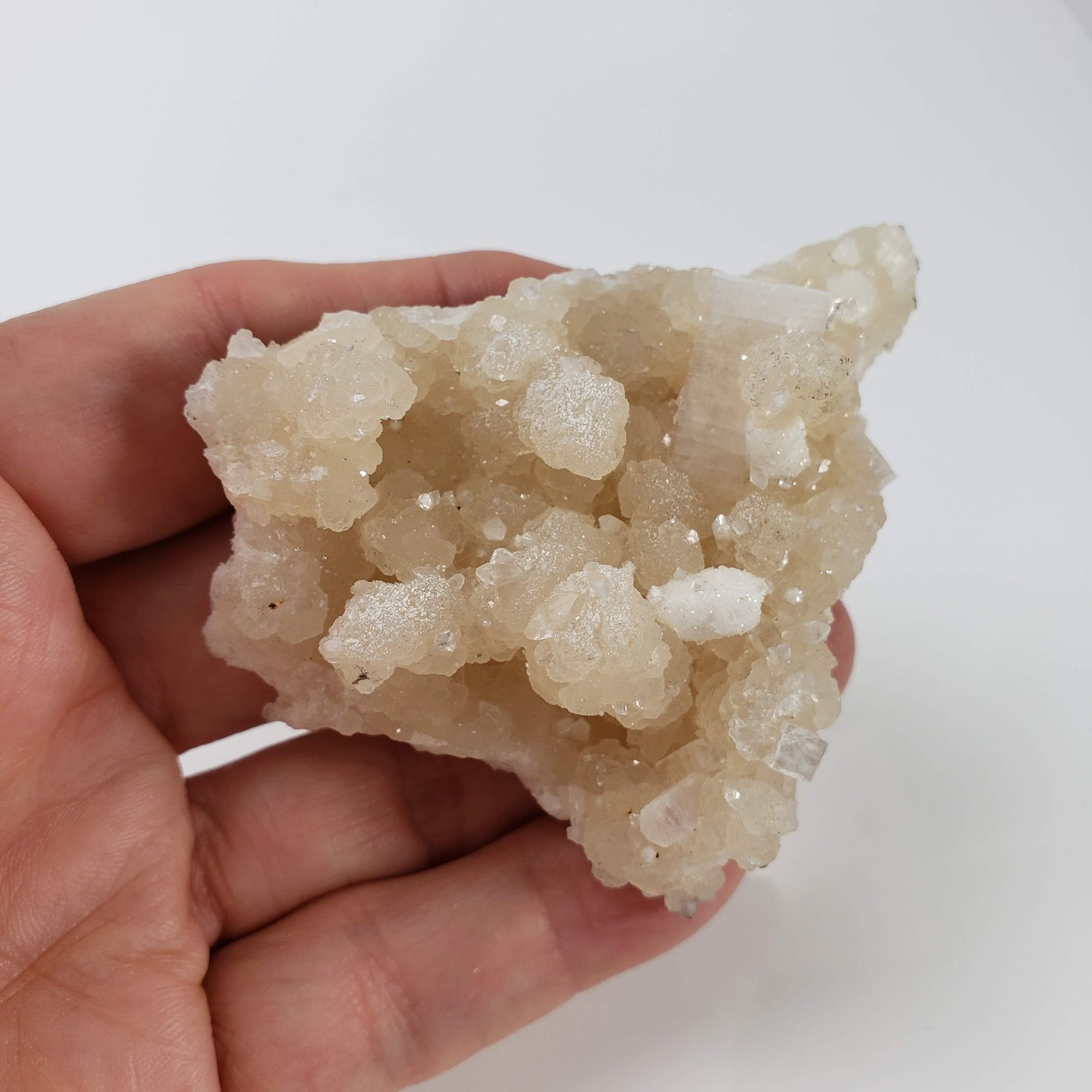  Gyrolite and Apophyllite on Prehnite Crystal | 85 grams | Mumbai, India 6