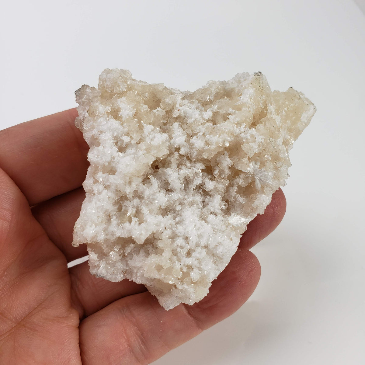  Gyrolite and Apophyllite on Prehnite Crystal | 85 grams | Mumbai, India 7
