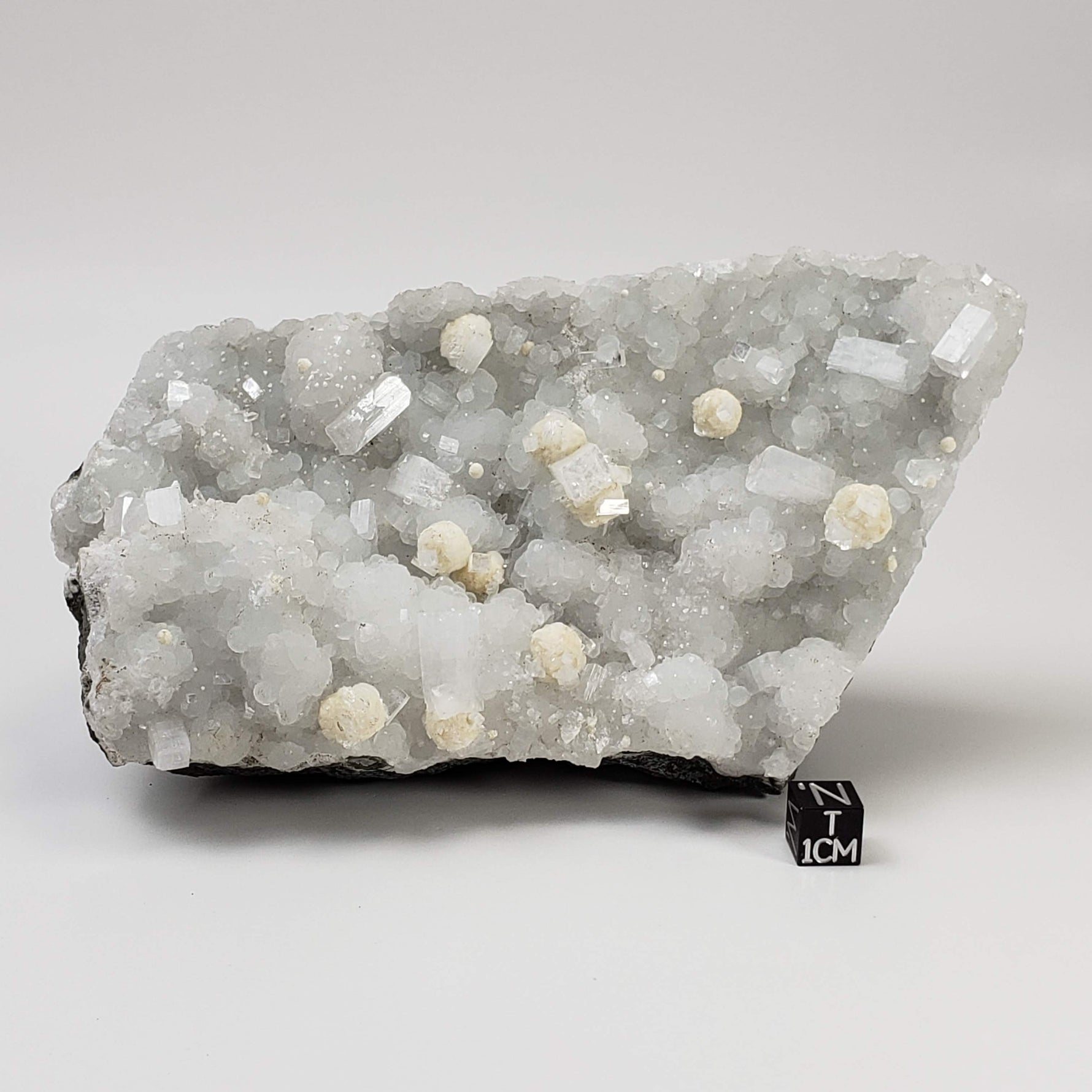  Gyrolite and Apophyllite on Prehnite Druze | 979 Grams | Mumbai, India 