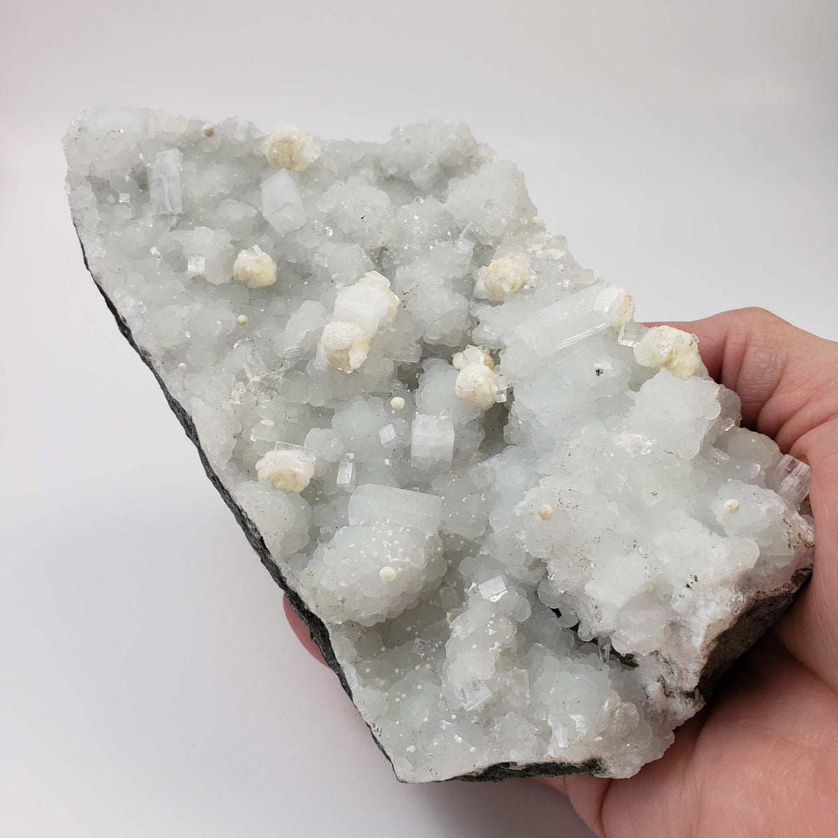  Gyrolite and Apophyllite on Prehnite Druze | 979 Grams | Mumbai, India 6