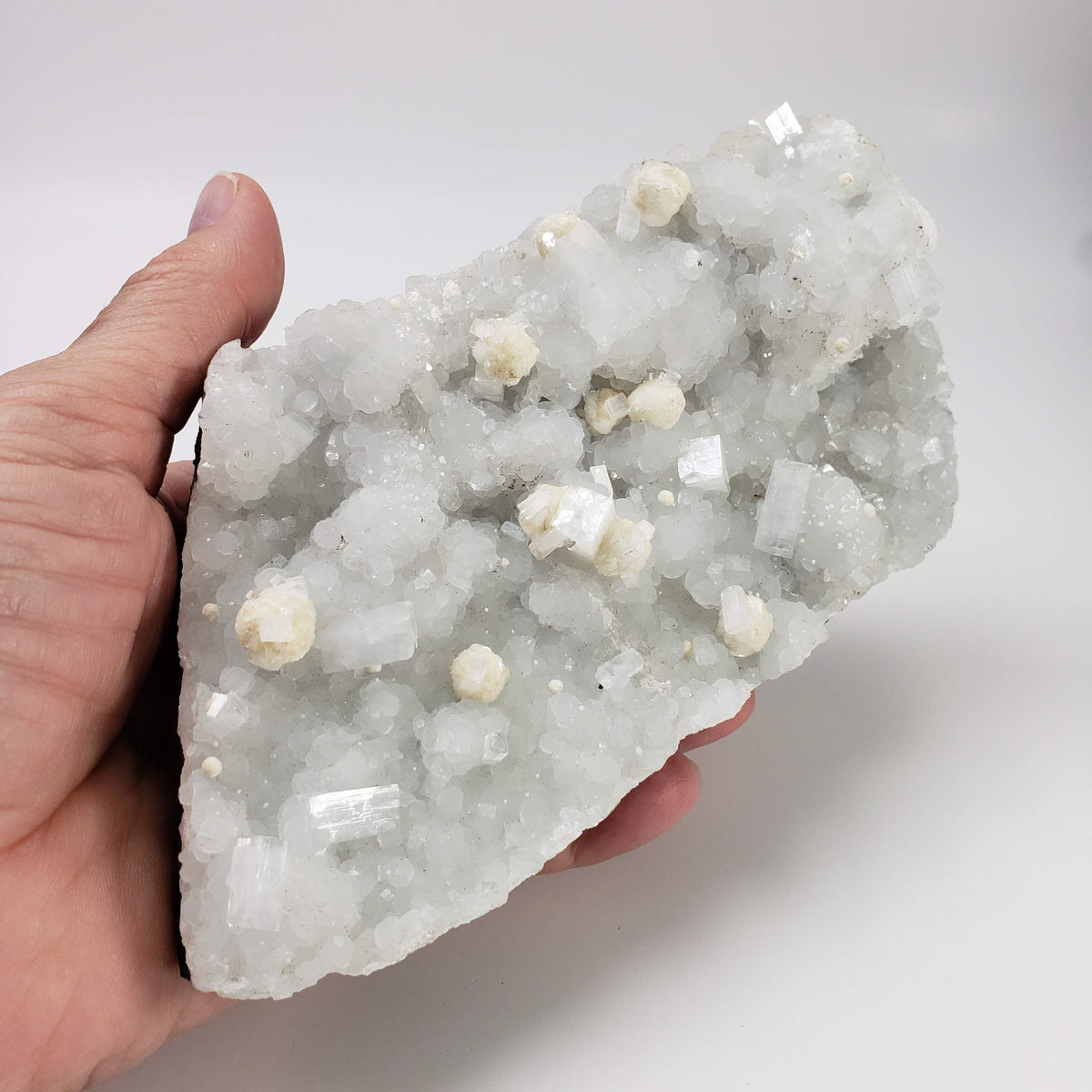  Gyrolite and Apophyllite on Prehnite Druze | 979 Grams | Mumbai, India 5