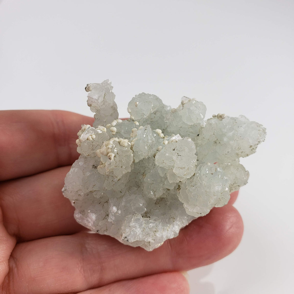 Gyrolite on Prehnite Crystal | 64 gr | Mumbai, India 7