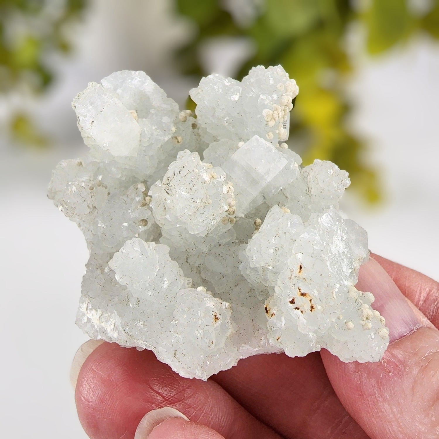  Gyrolite on Prehnite Crystal Cluster | 64 grams | Mumbai, India 