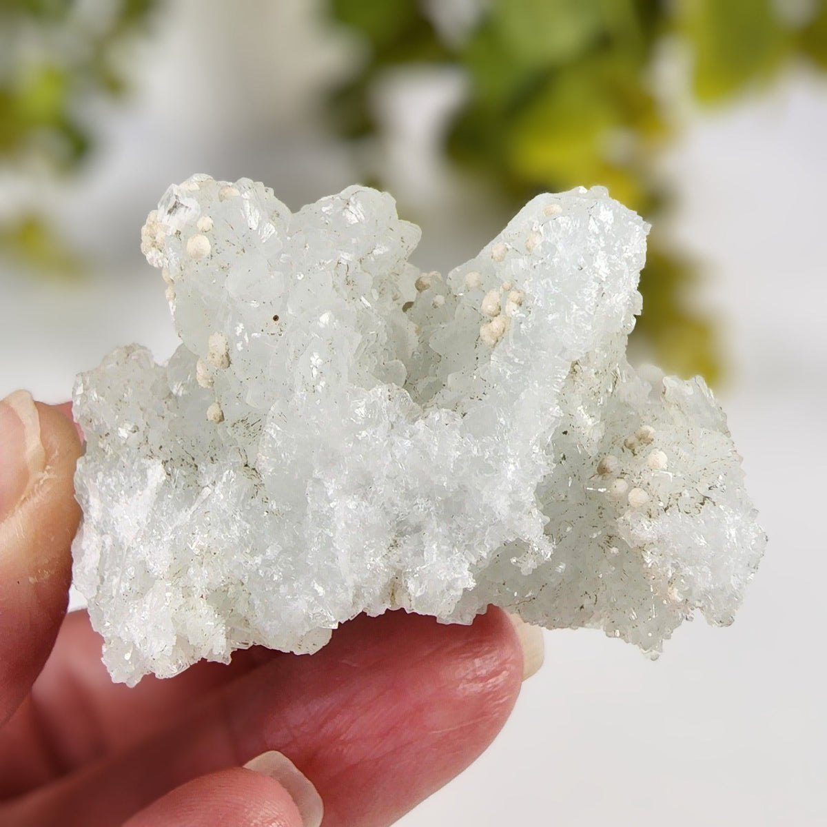  Gyrolite on Prehnite Crystal Cluster | 64 grams | Mumbai, India 5