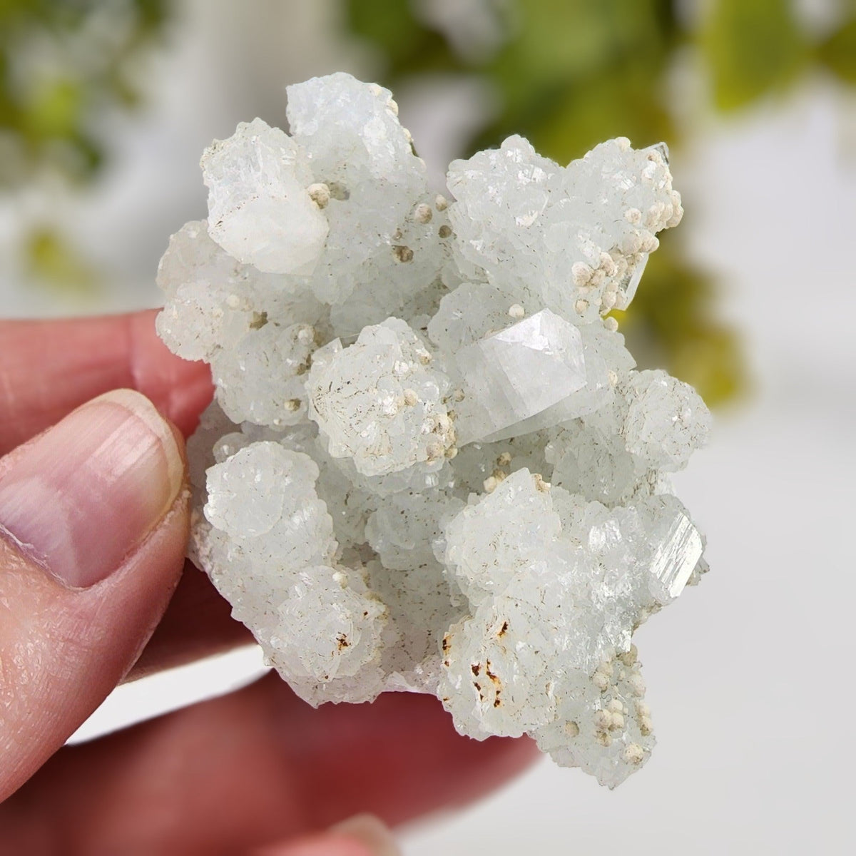  Gyrolite on Prehnite Crystal Cluster | 64 grams | Mumbai, India 7