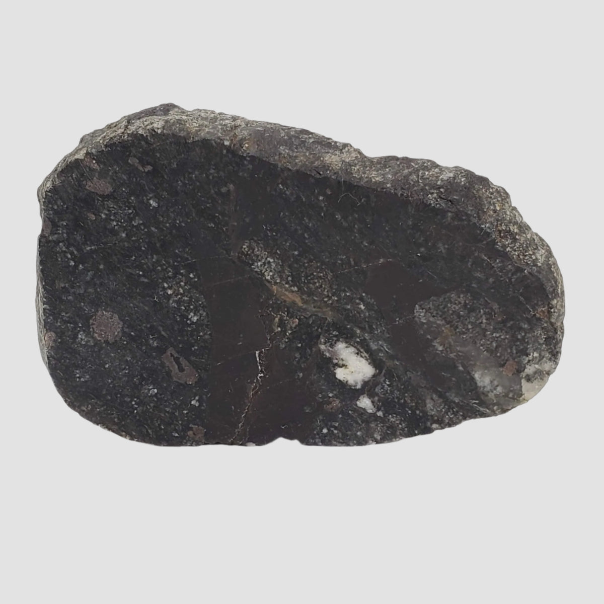  HT Tagamite Impact Melt Rock |  100 grams | Dellen Crater, Sweden 1