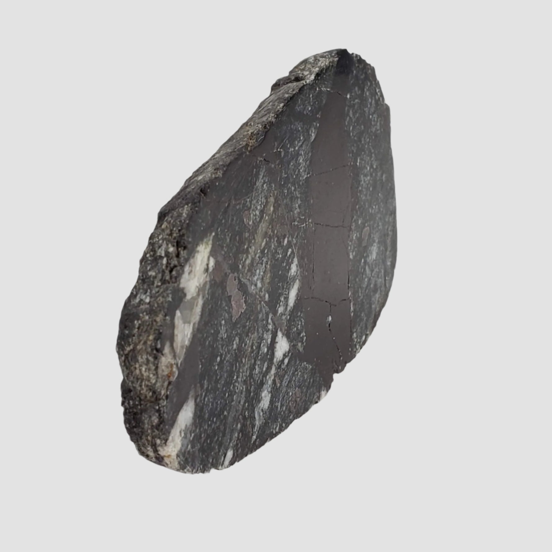  HT Tagamite Impact Melt Rock |  100 grams | Dellen Crater, Sweden 3
