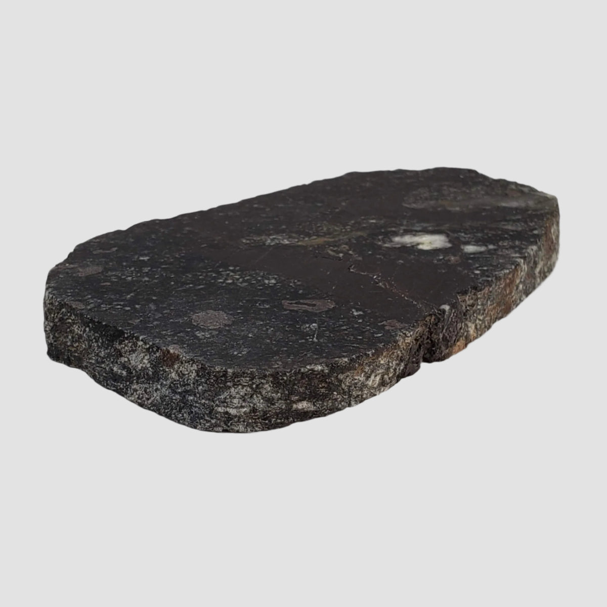 HT Tagamite Impact Melt Rock |  100 grams | Dellen Crater, Sweden 5