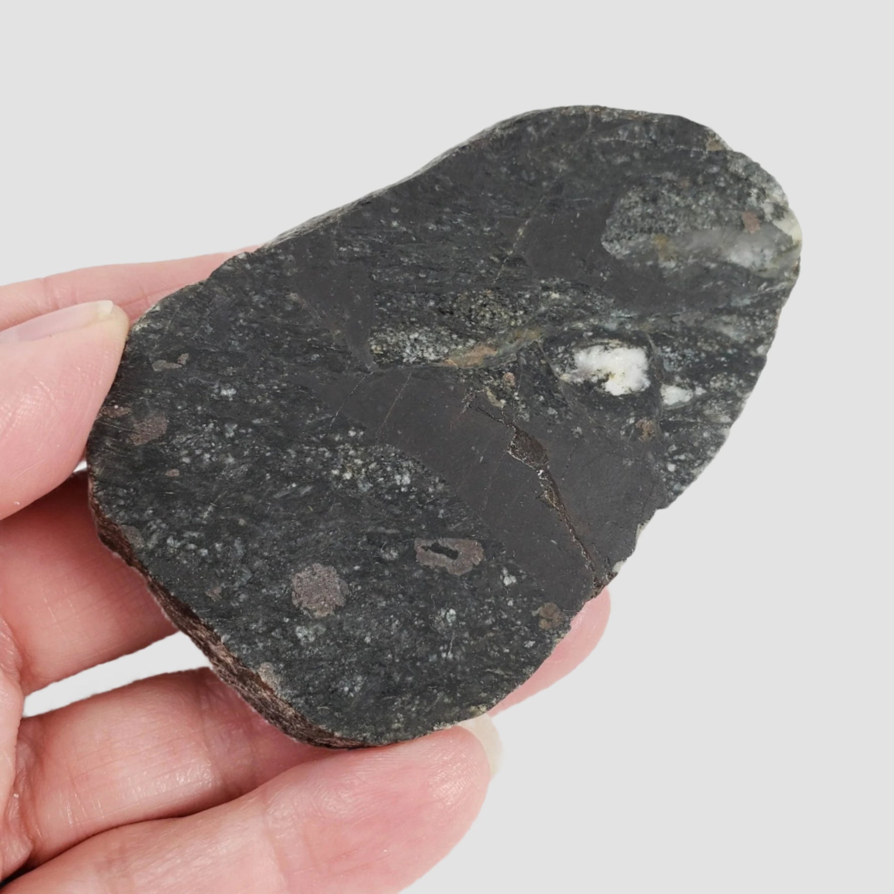  HT Tagamite Impact Melt Rock |  100 grams | Dellen Crater, Sweden 7