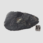  HT Tagamite Impact Melt Rock | 155.6 grams | Dellen Crater, Swede 
