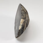  HT Tagamite Impact Melt Rock |  207.4 grams | Dellen Crater, Sweden | SO24 3