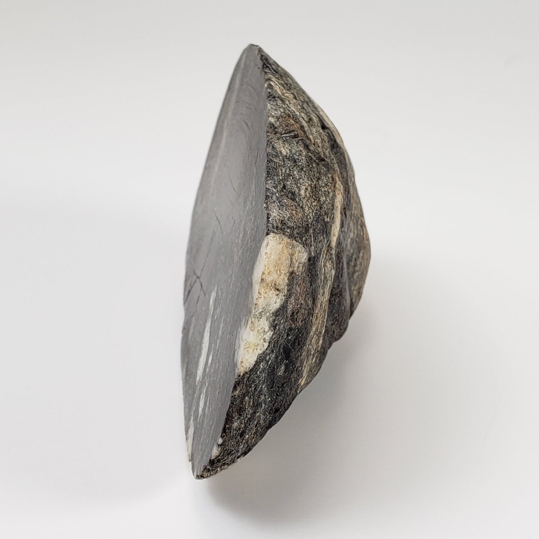  HT Tagamite Impact Melt Rock |  207.4 grams | Dellen Crater, Sweden | SO24 3