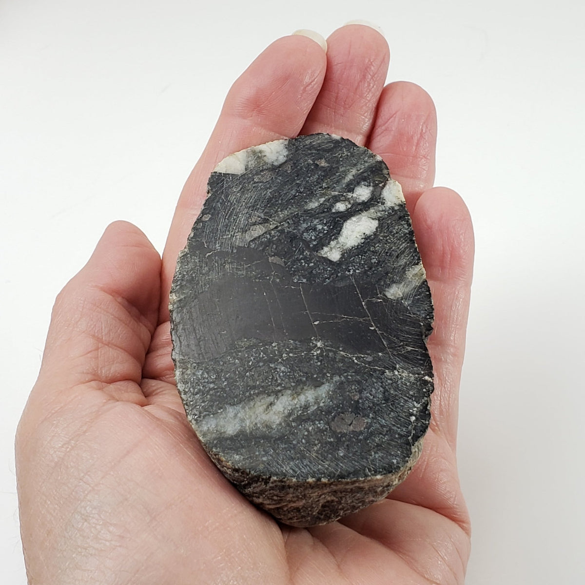  HT Tagamite Impact Melt Rock |  207.4 grams | Dellen Crater, Sweden | SO24 8