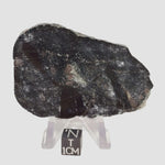  HT Tagamite Impact Melt Rock | 38.6 grams | Dellen Crater, Sweden 