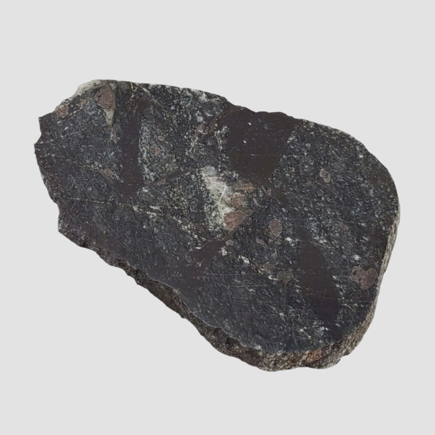  HT Tagamite Impact Melt Rock | 38.6 grams | Dellen Crater, Sweden 3