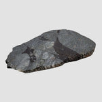  HT Tagamite Impact Melt Rock | 38.6 grams | Dellen Crater, Sweden 5