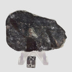  HT Tagamite Impact Melt Rock | 38.6 grams | Dellen Crater, Sweden 