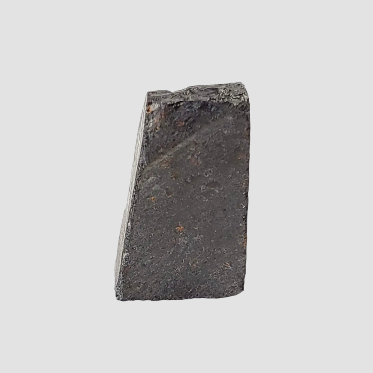  Hammadah al Hamra HaH 280 Meteorite | 1.3 gr | Slice | CK4 Carbonaceous 1