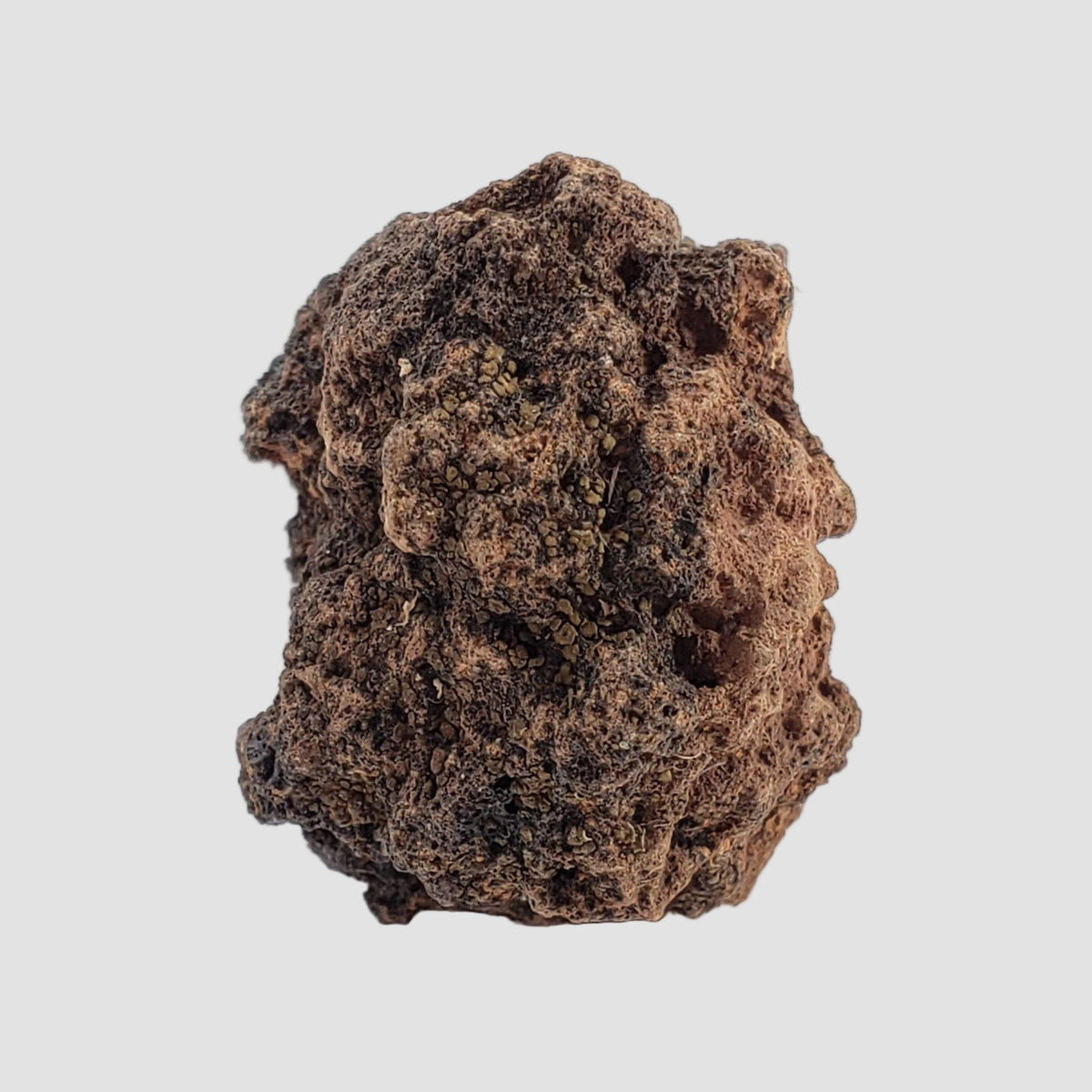  Henbury Impactite | Vesicular Impact Glass | 7.89 Gr | Awesome Rare | Henbury N.T. Australia 3