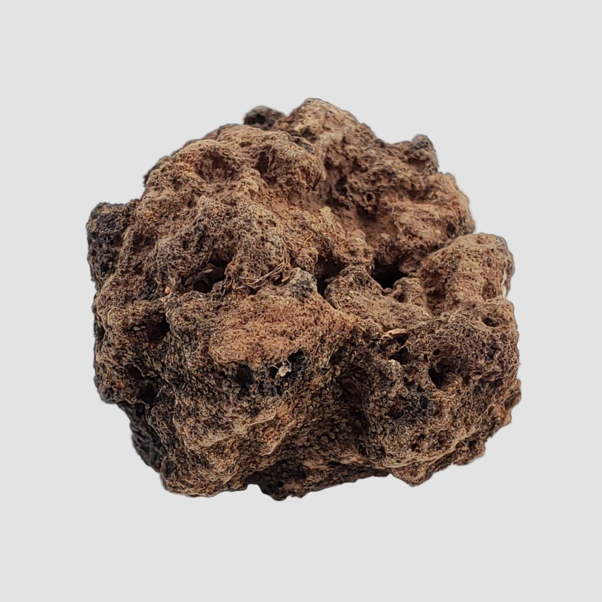  Henbury Impactite | Vesicular Impact Glass | 7.89 Gr | Awesome Rare | Henbury N.T. Australia 6