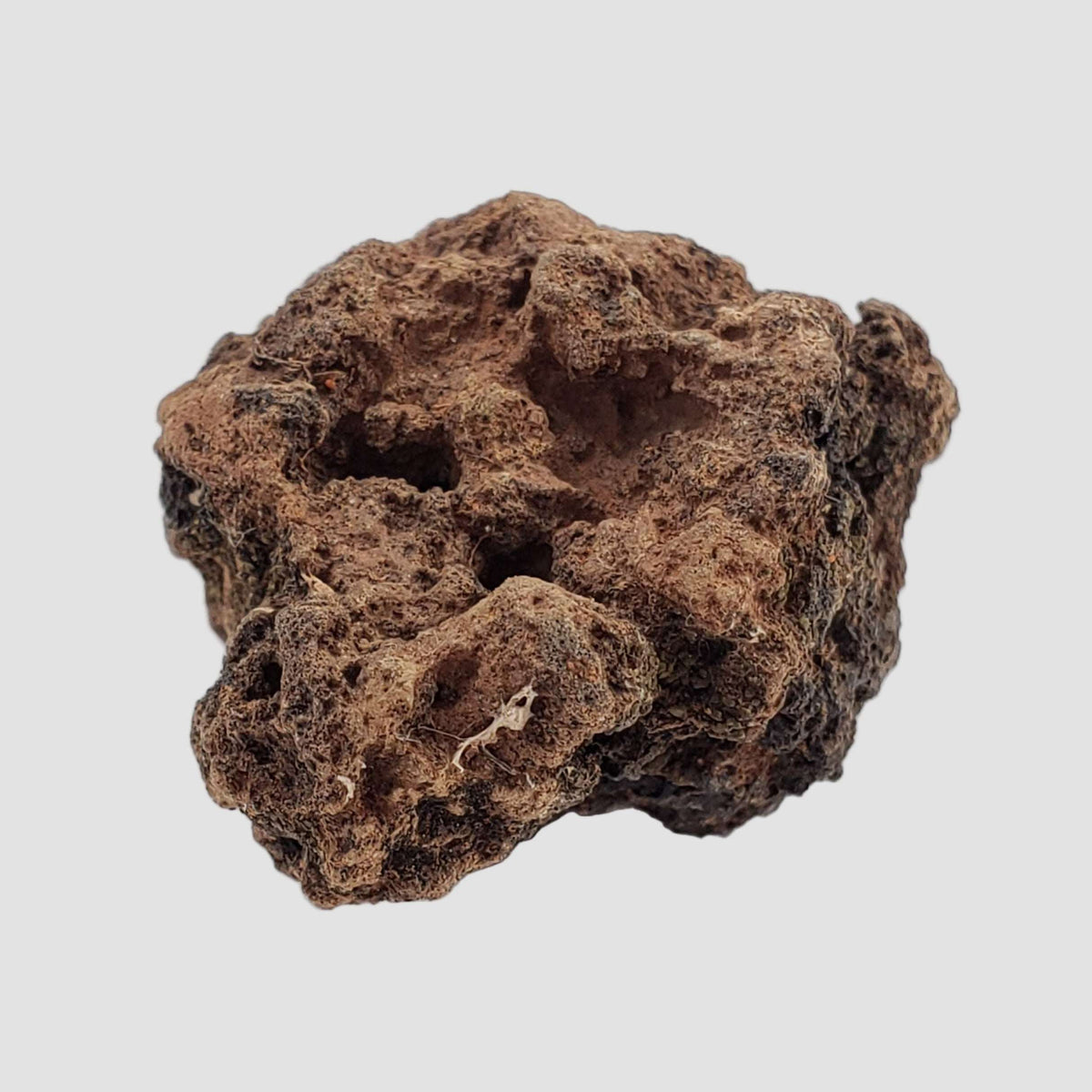  Henbury Impactite | Vesicular Impact Glass | 7.89 Gr | Awesome Rare | Henbury N.T. Australia 7