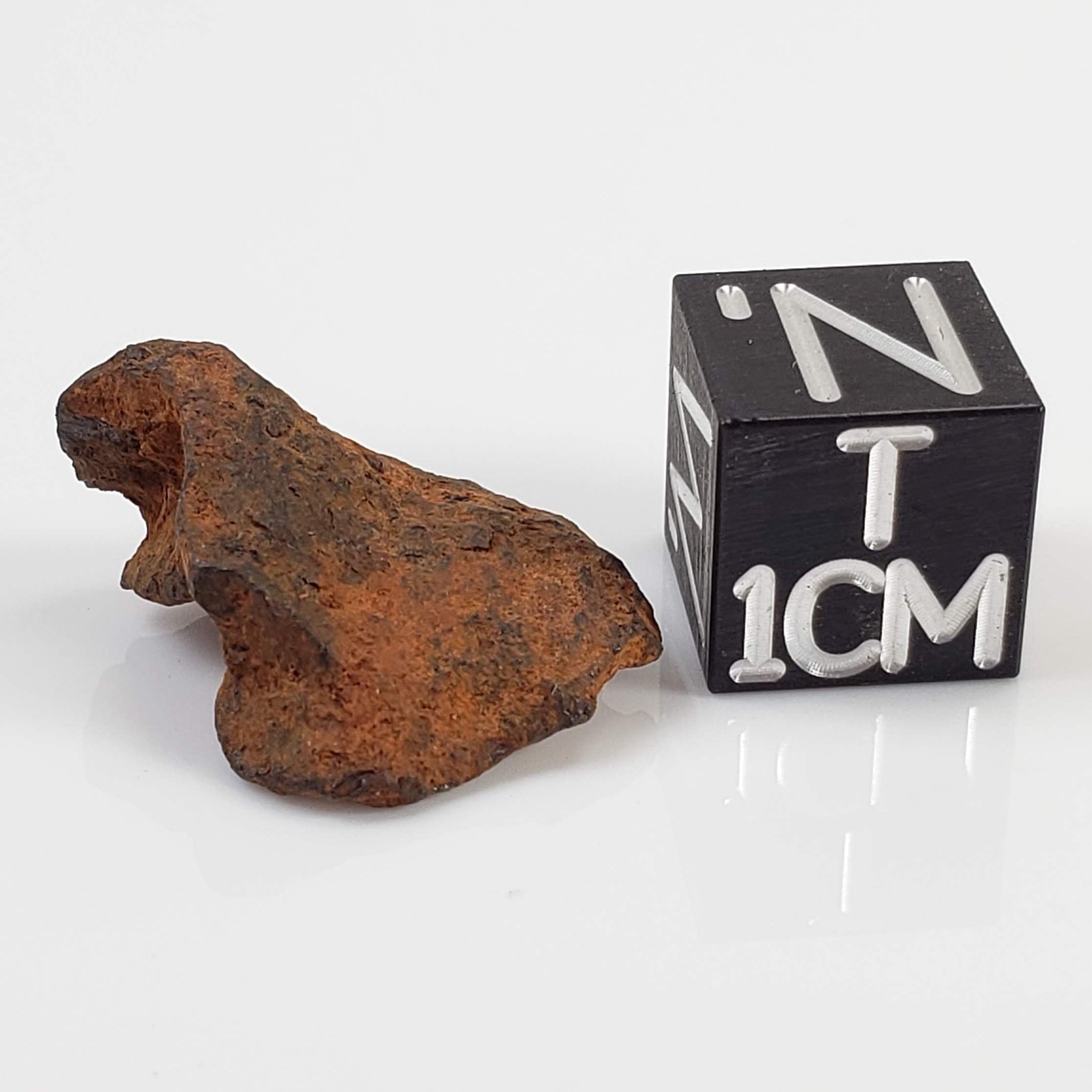 Henbury Meteorite | 3.69 Gr | Individual | Iron IIIAB | Australia
