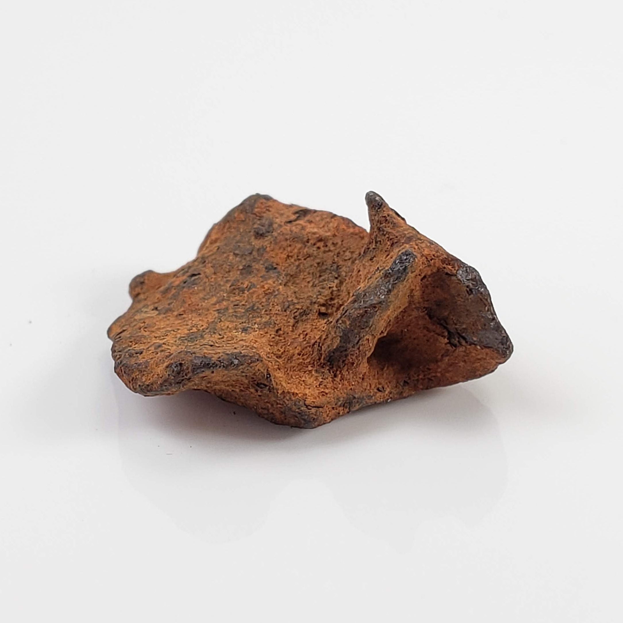 Henbury Meteorite | 3.69 Gr | Individual | Iron IIIAB | Australia