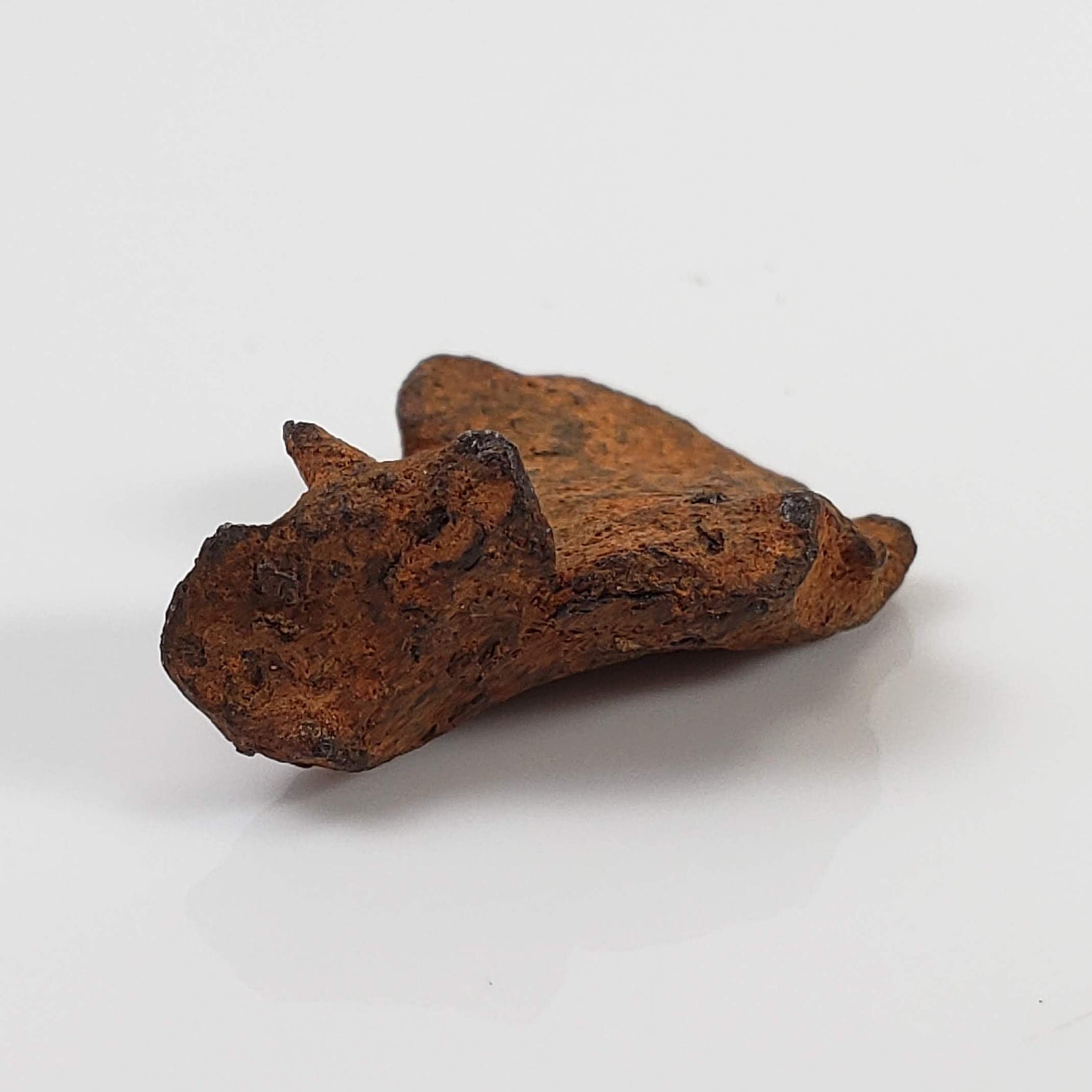  Henbury Meteorite | 3.69 Gr | Individual | Iron IIIAB | Australia 6