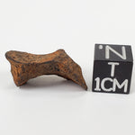  Henbury Meteorite | 6.88 Gr | Individual | Iron IIIAB | Australia 