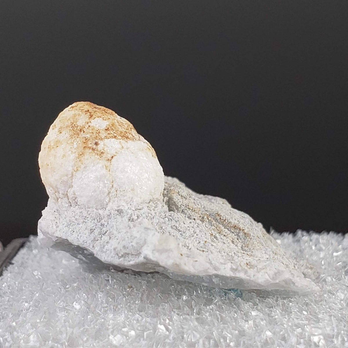  Howlite on Matrix | Perky Box Thumbnail Specimen | Fishells Brook, NL, Canada 2